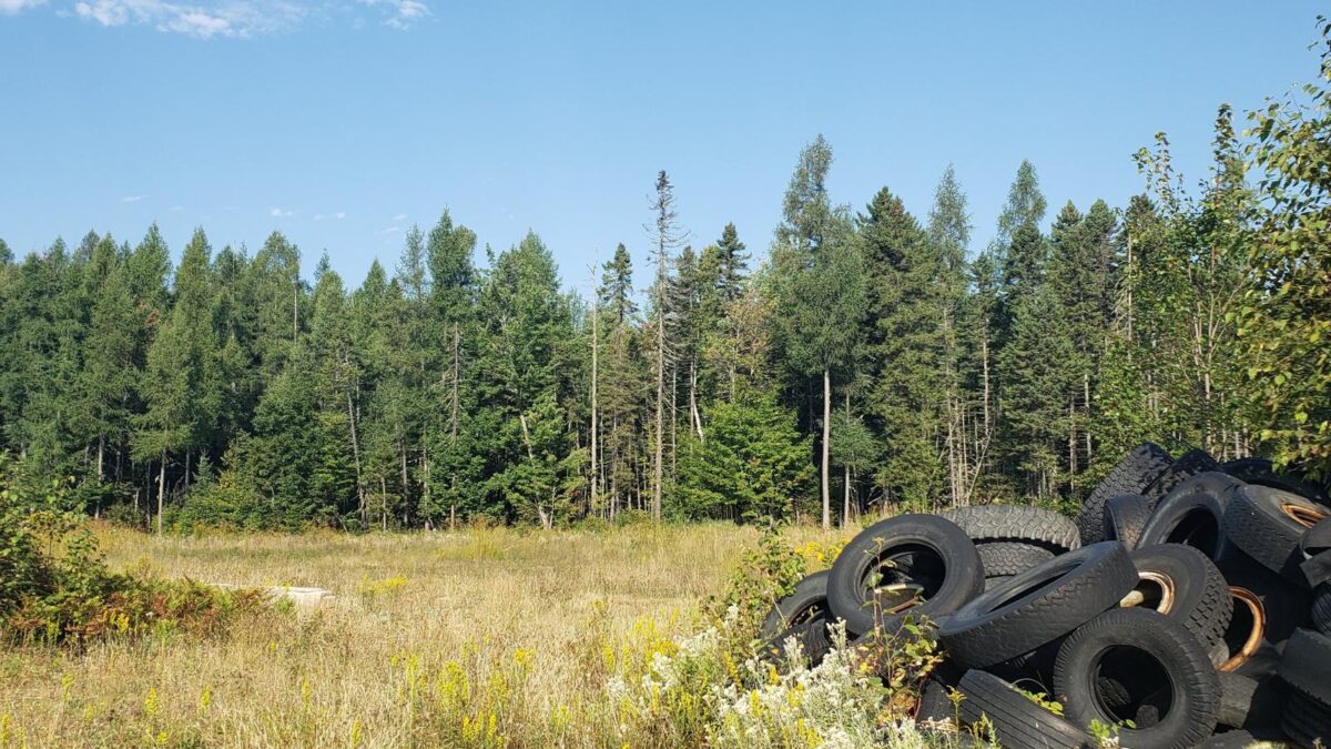 USDA lenders for rural land