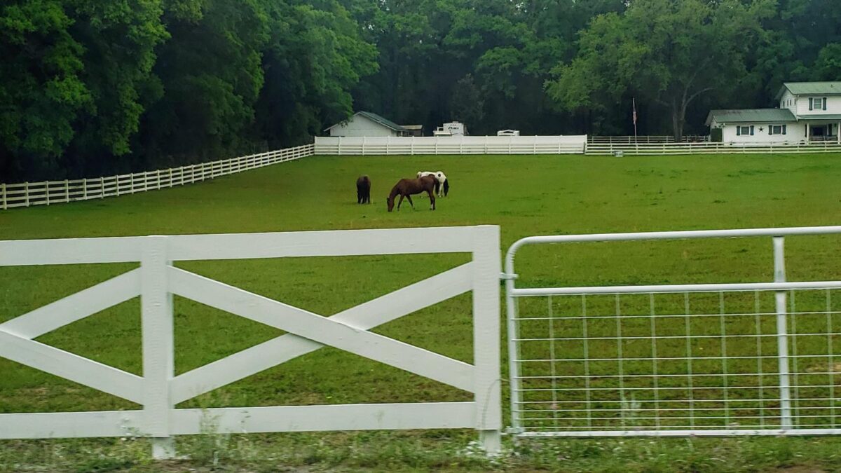 ranch vs farm