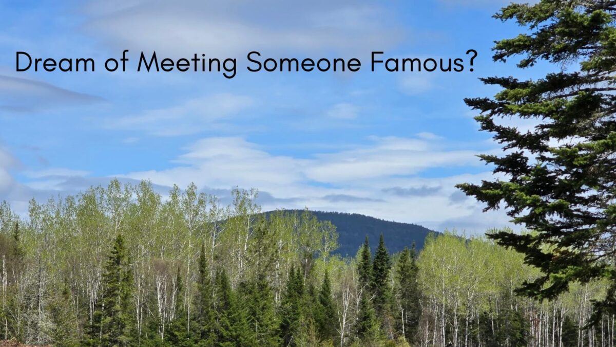 dream of meeting someone famous?