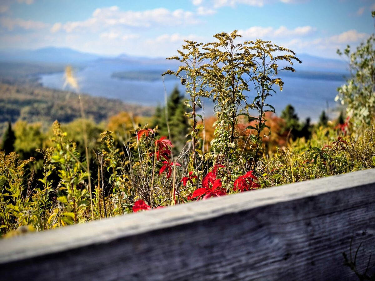 rangeley leaf peeping best leaf peeping in Rangeley Maine