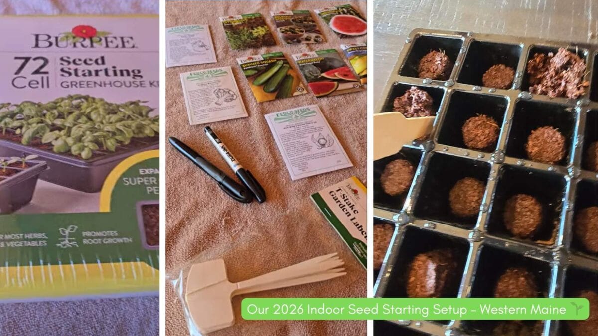 Our 2026 Indoor Seed Starting Setup in Western Maine