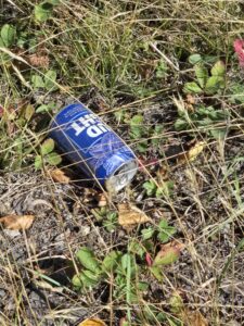 litter of bud light can some of the cans I've picked up on cleaning litter along the Maine rural roads.