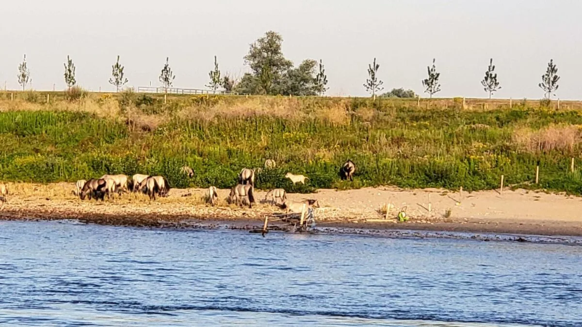 Netherlands on Riverboat Cruise from our 2019 Trip.