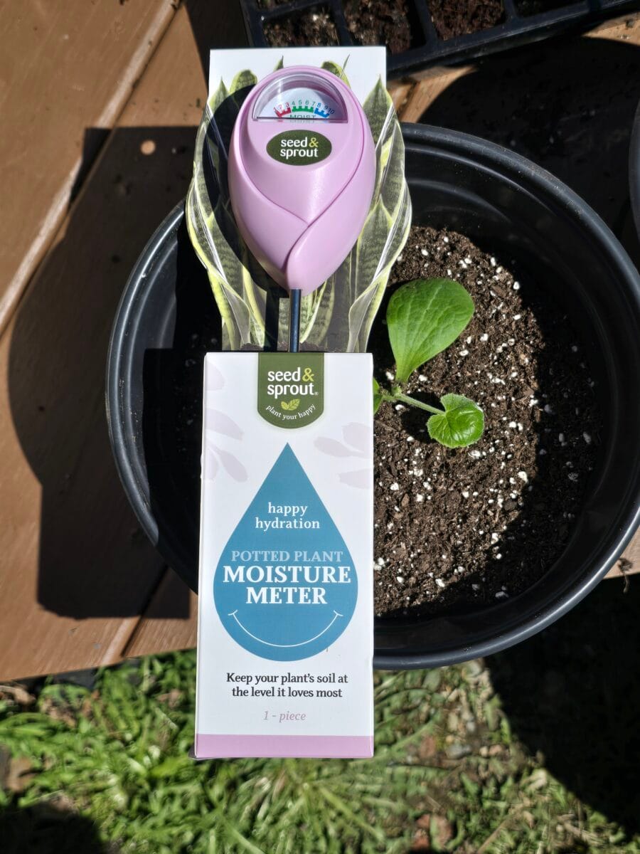 We used a potted plant moisture water meter to check if they needed more water or not.